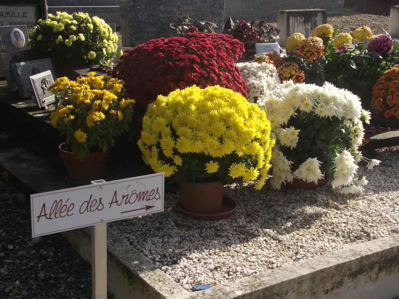 le cimetière avec ces nouveaux panneaux 