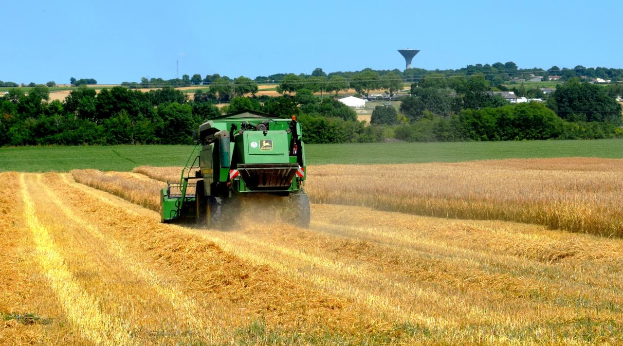 Début des moissons de 2017