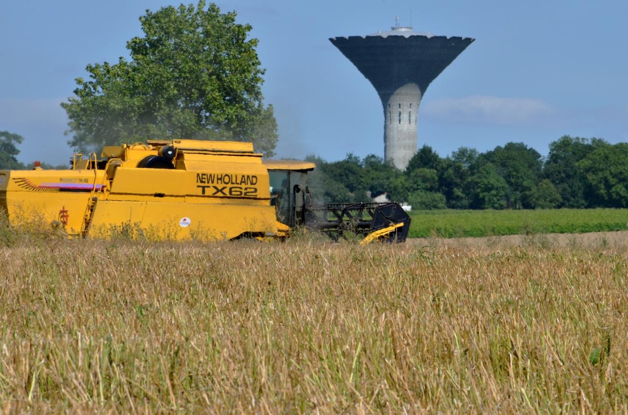 Beau temps pour les batteuses-le 06-07-2016