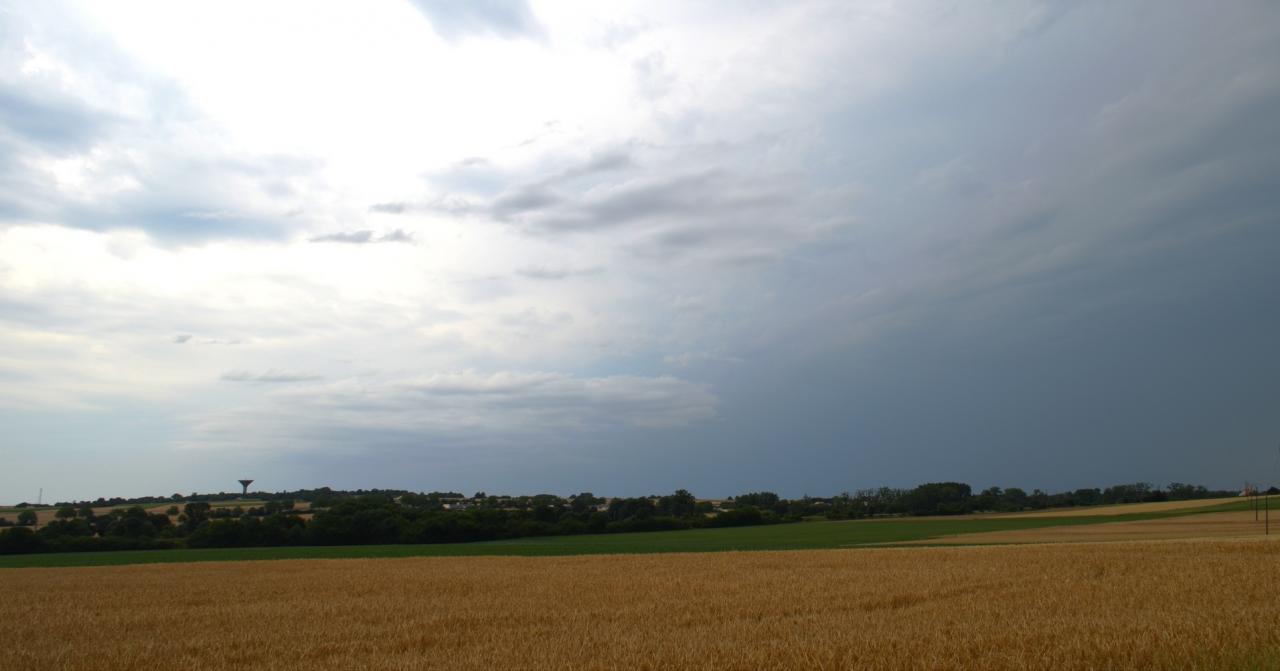 Blé avant l'orage-13-06-2013