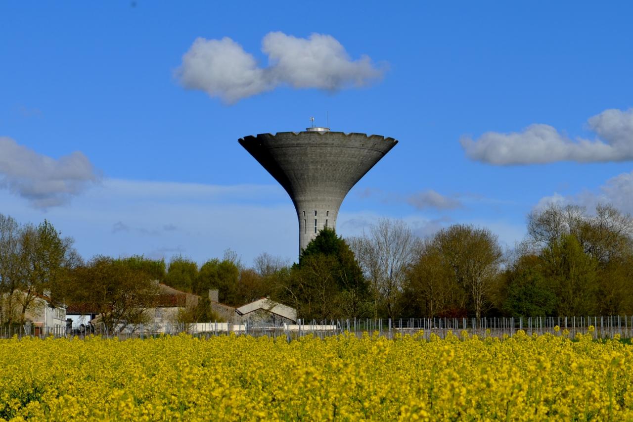 Le château d'eau, à l'époque du colza-le 13-04-2016