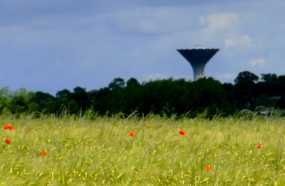 Le château d'eau et quelques coquelicots