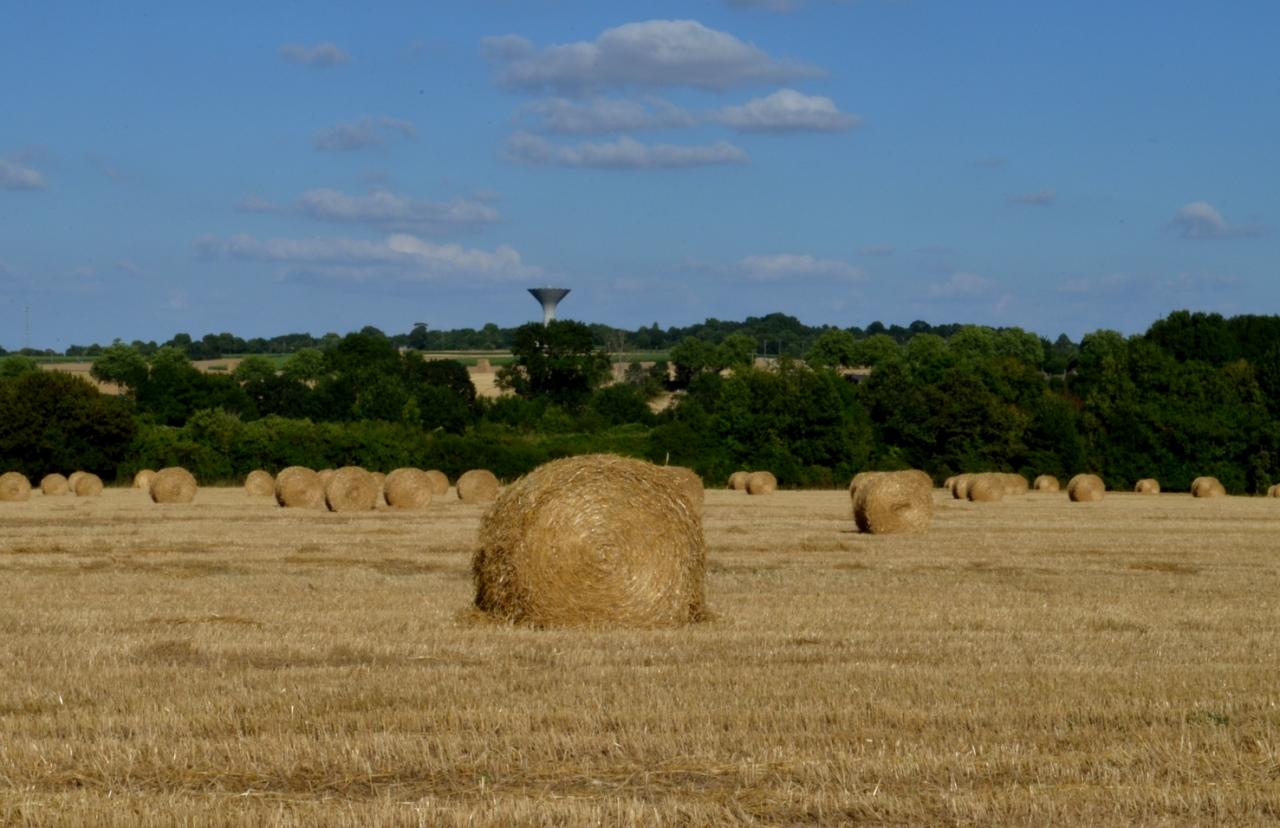 Château et paille-le 24-07-2016