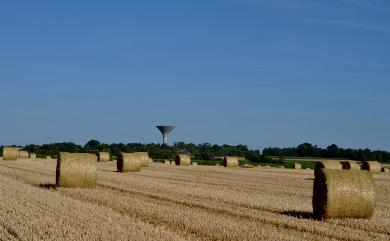 Des bottes-le 27-07-2016