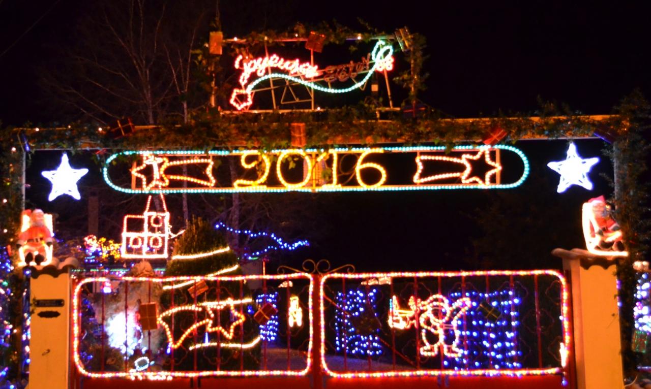 Fêtes de la fin de l'année 2015 chez M. et Mme Mégrier