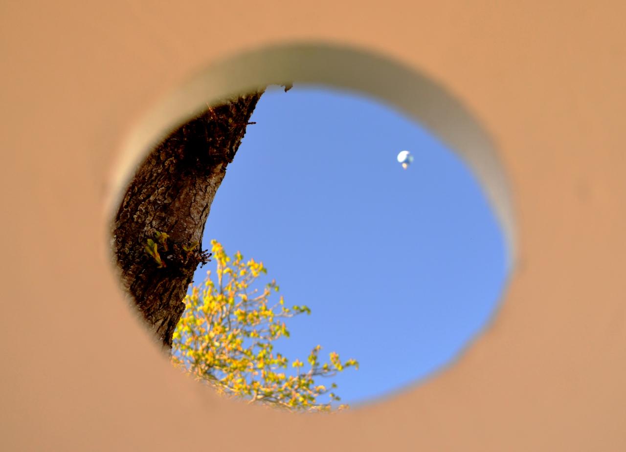 Une montgolfière vue depuis un abribus