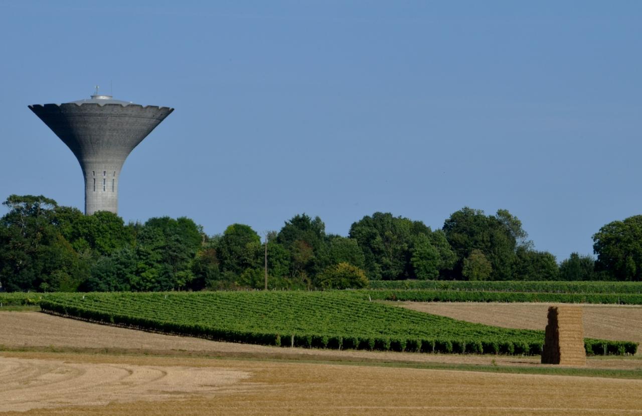 Fin de la paille-le 27-07-2016