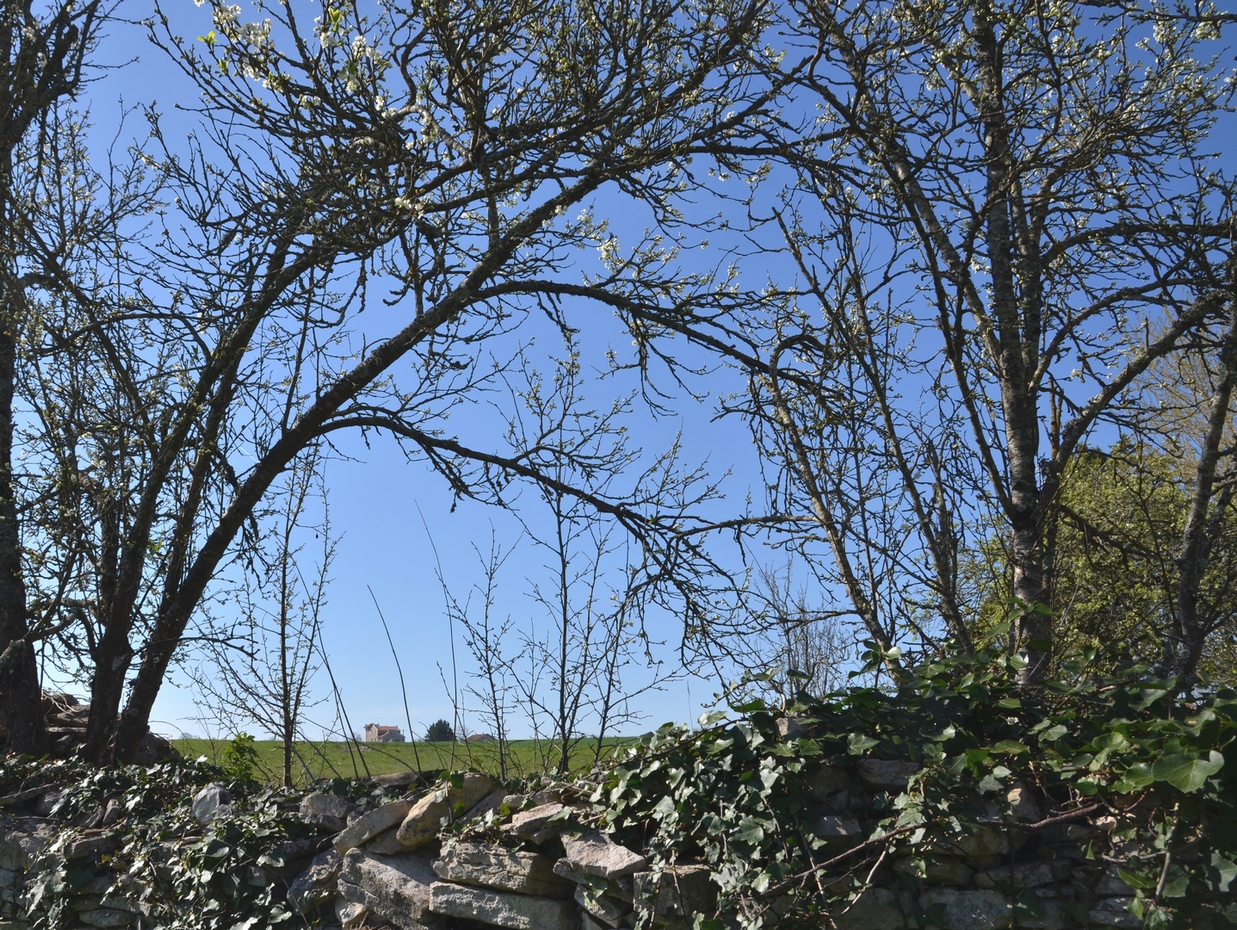 Gare au printemps