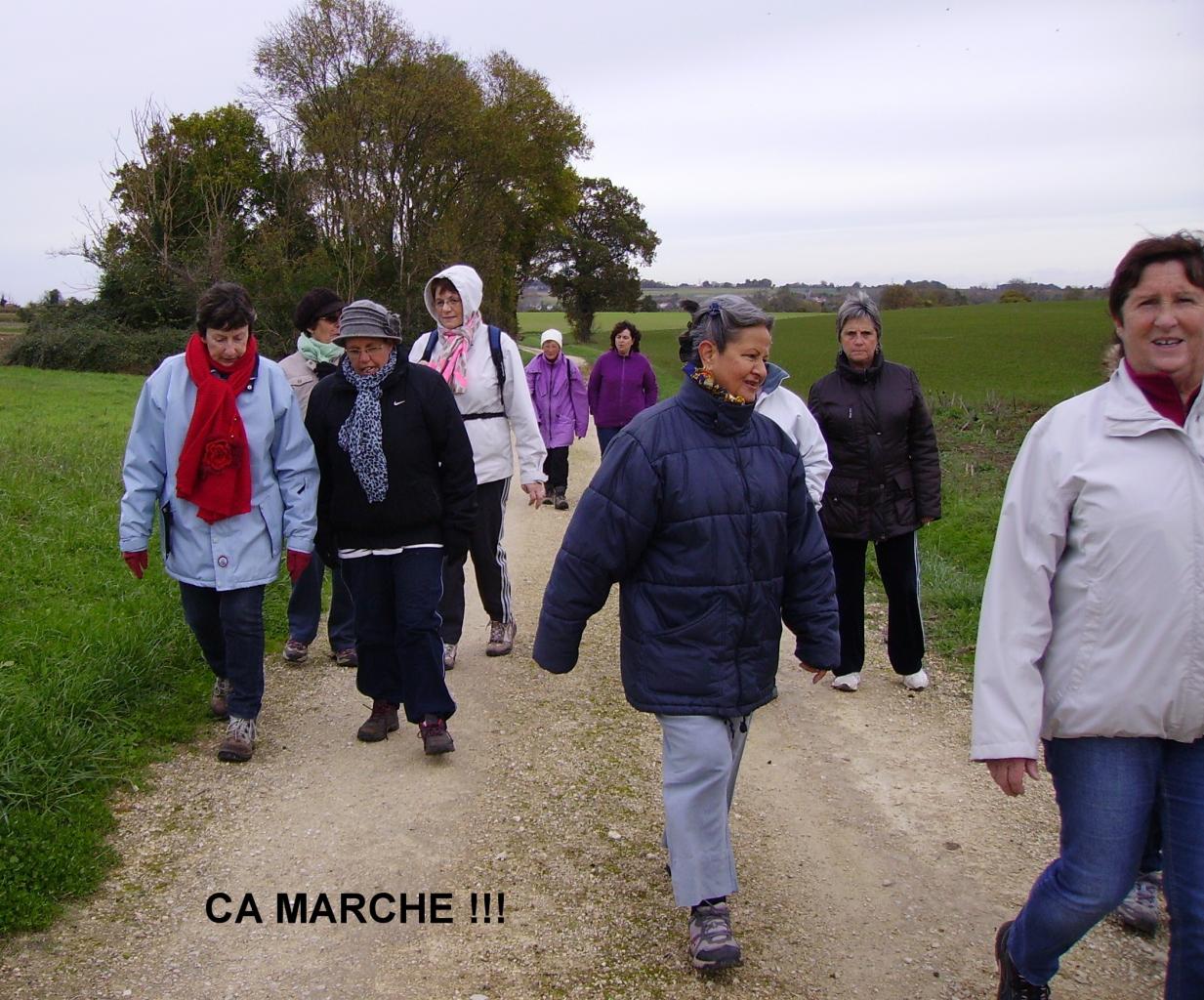 SECTION MARCHE