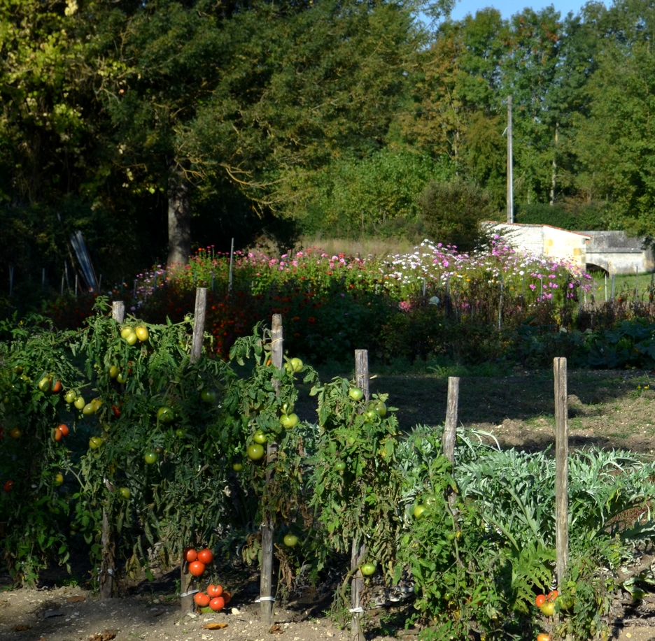 Un jardin fleuri au Pas Loubat