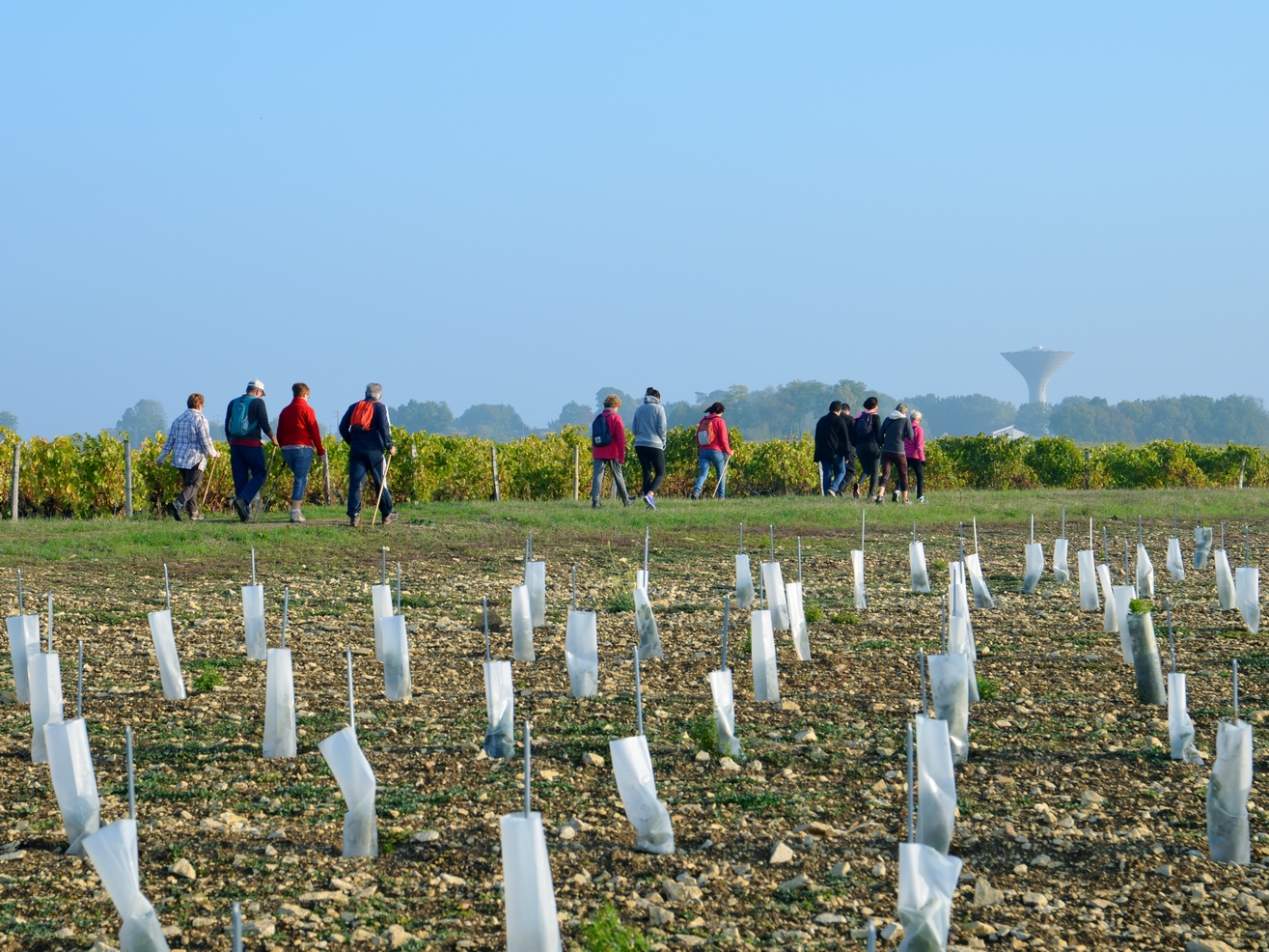 marche pour Lucide