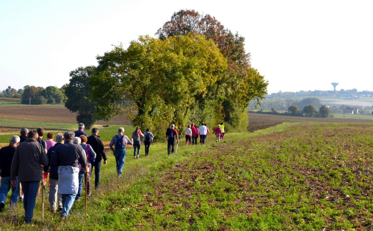 Marche avec Lucide 14-10-2017