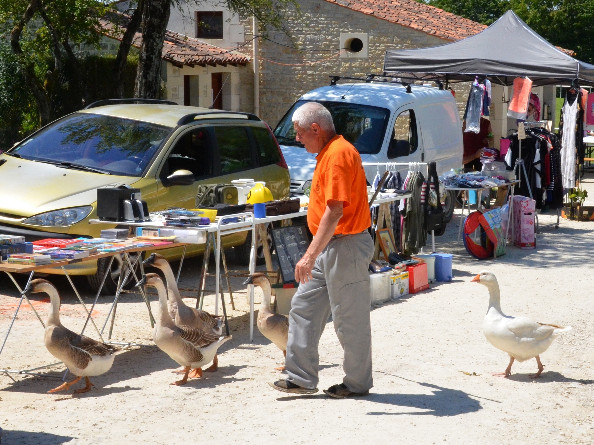 oies en marche-frairie 2019