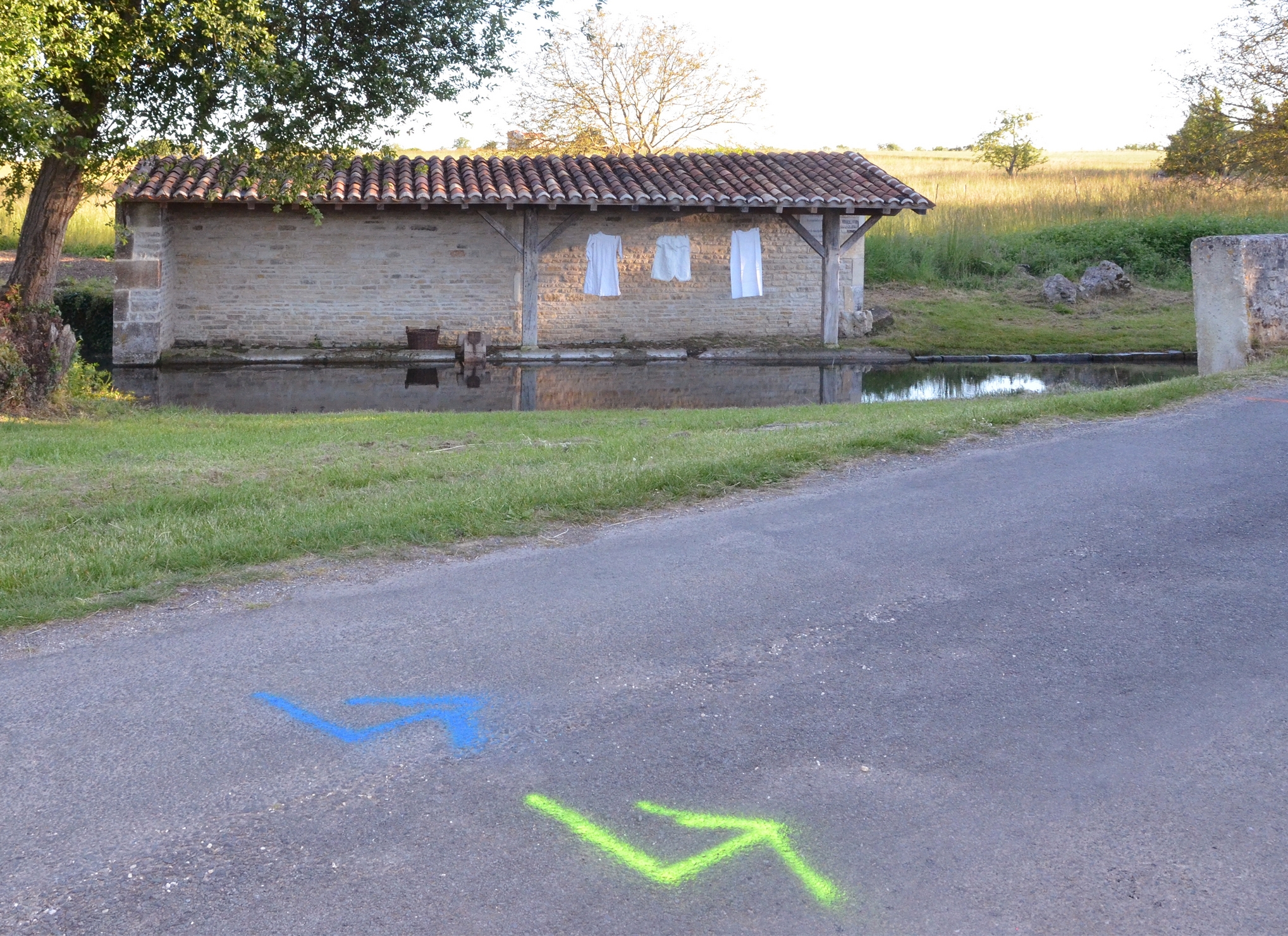 marche fléchée-frairie 2019