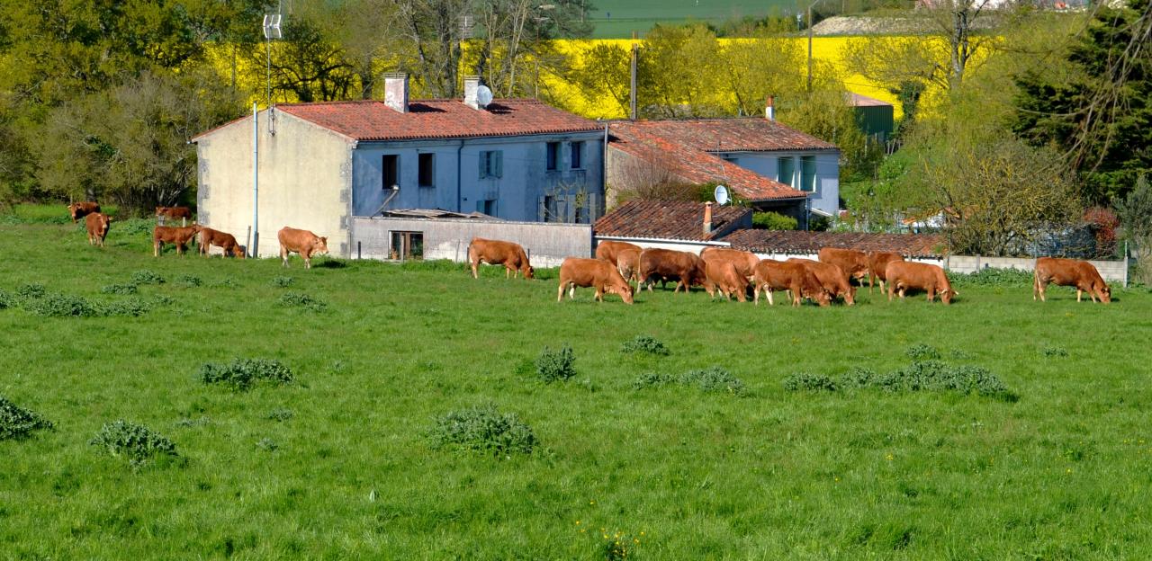 Le Pas Loubat-le 18-04-2016