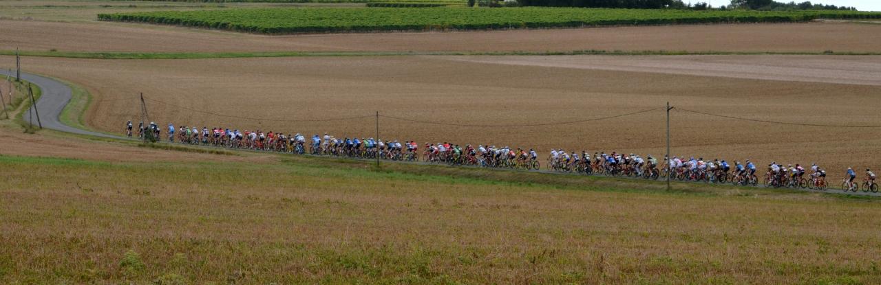 Le peloton du TPC (Tour Poitou-Charentes) 2017