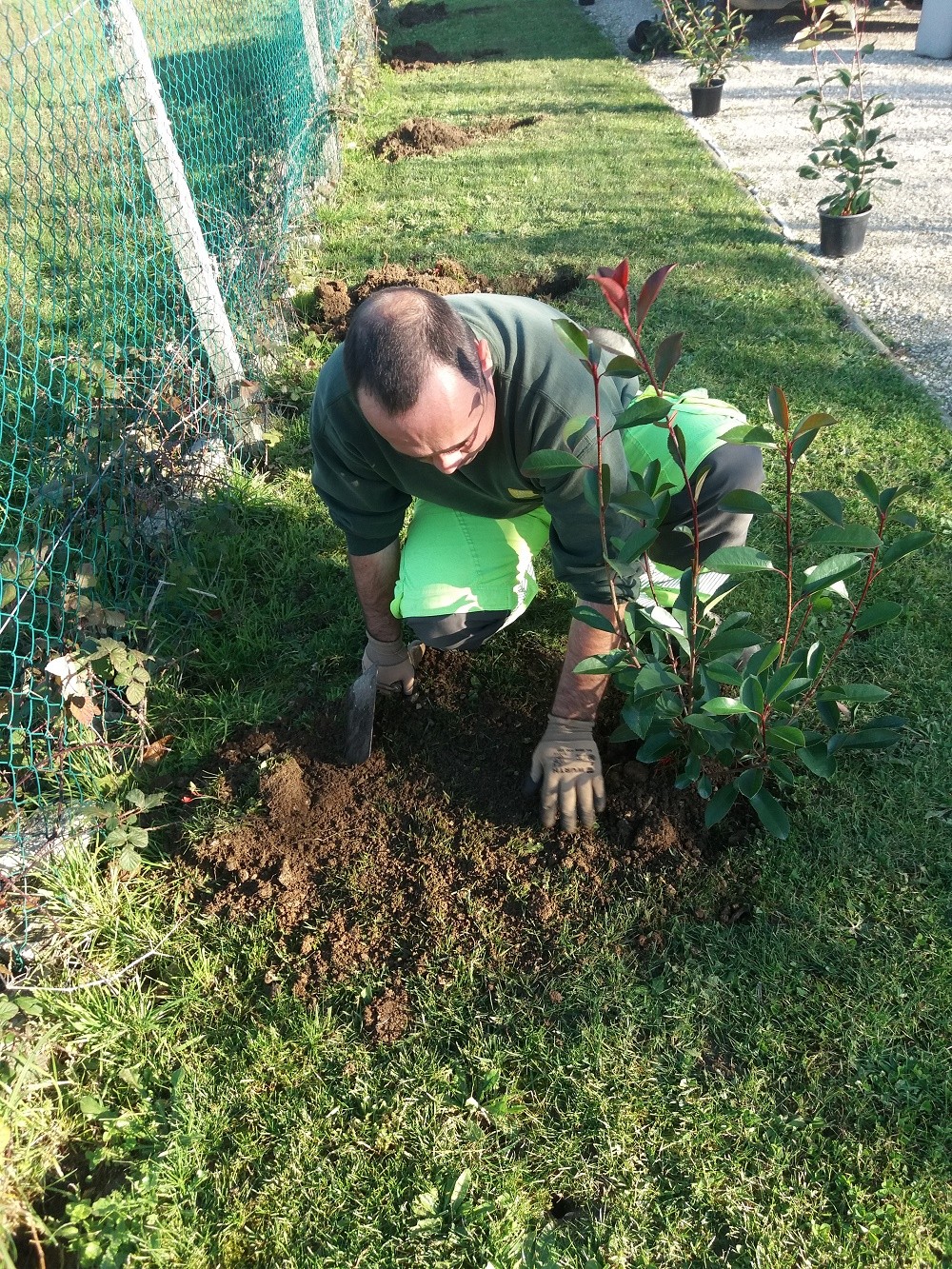 Plantation sans famille