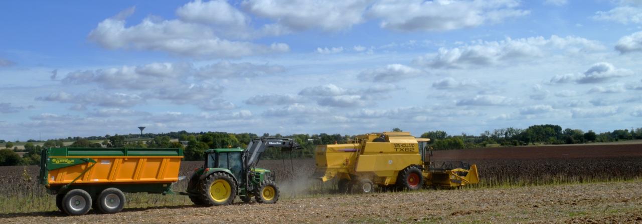 Moisson de tournesol 22-09-2017