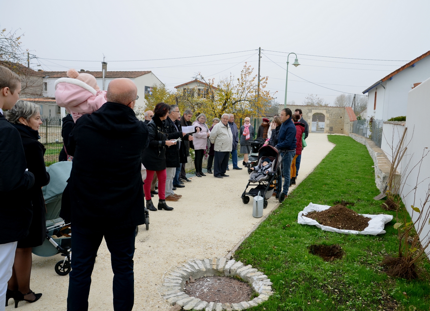 un enfant-un arbre-17-11-2018