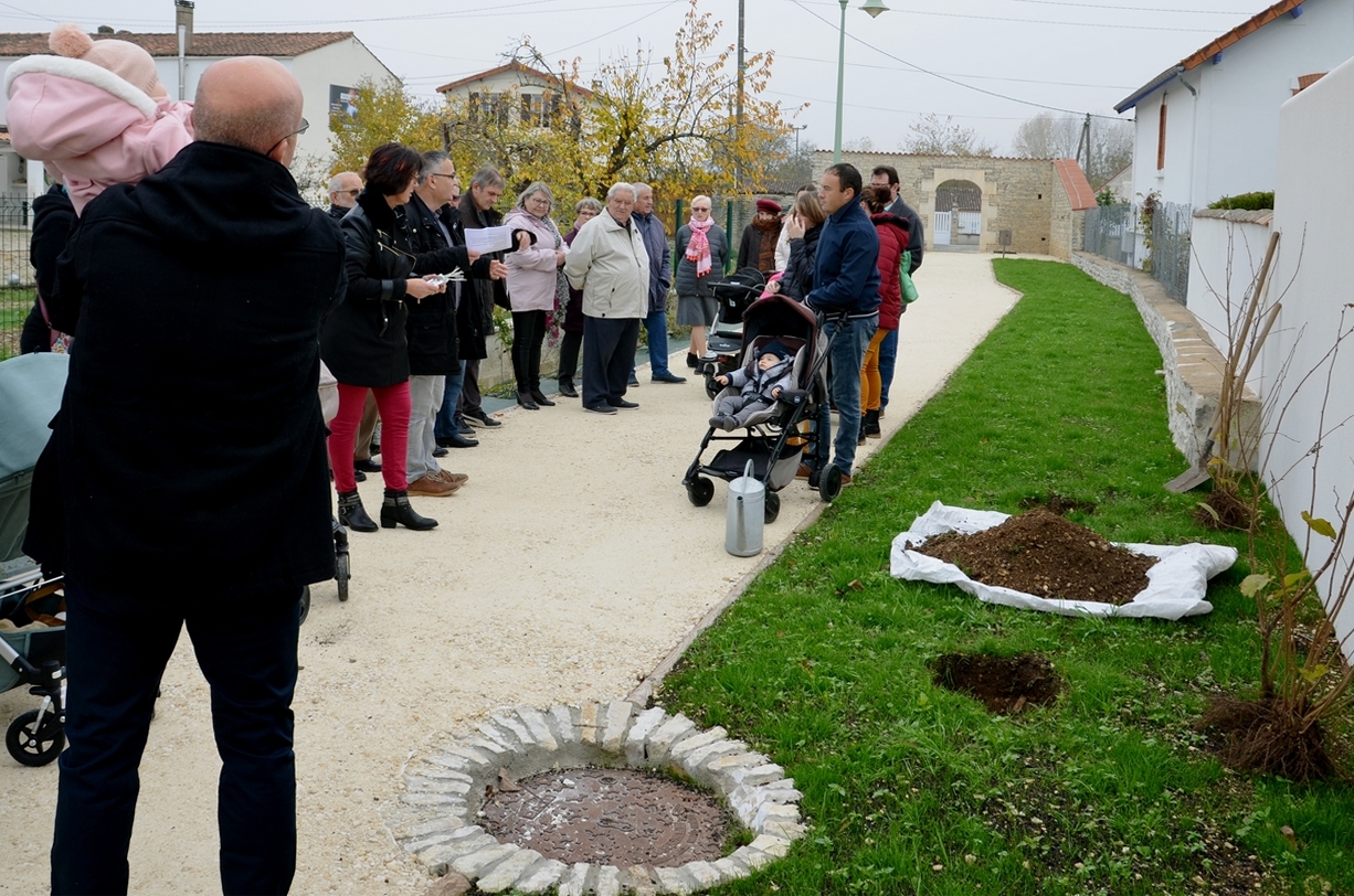 Un enfant- un arbre, le 17-11-2018