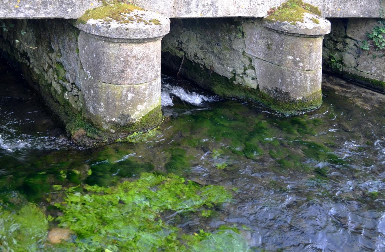 L'eau vive de Véron  2016