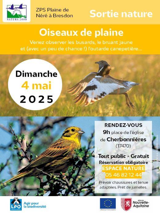 2025 05 04 n2000 nebr sortie grand public oiseaux de plaine 1