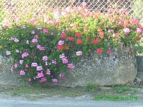 A la rue timbre devant chez doublet