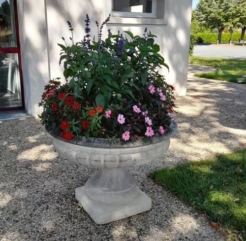 Fleurs 4