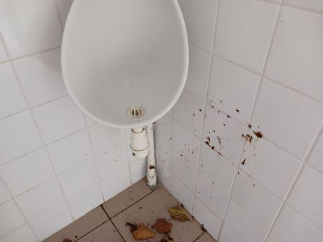Photo wc 1