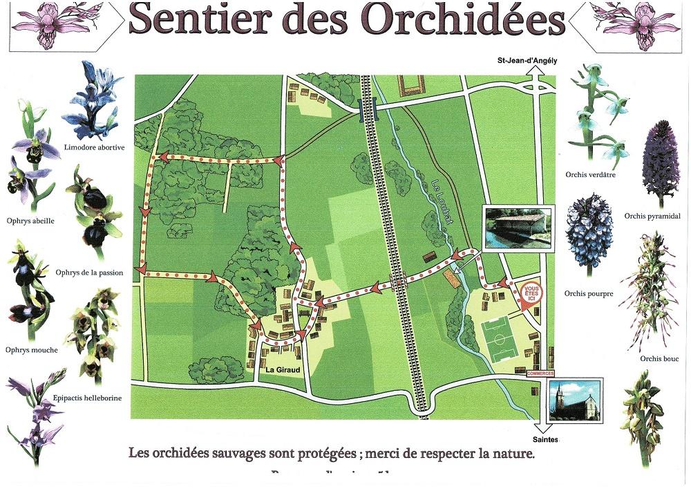 Sentier des orchidees